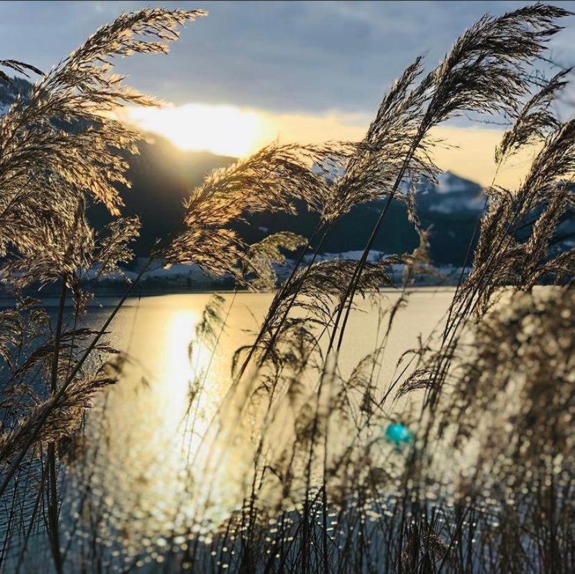Wolfgangsee Seeblickplatzl 220 - Mit Tollem Seeblick! Strobl Exterior foto