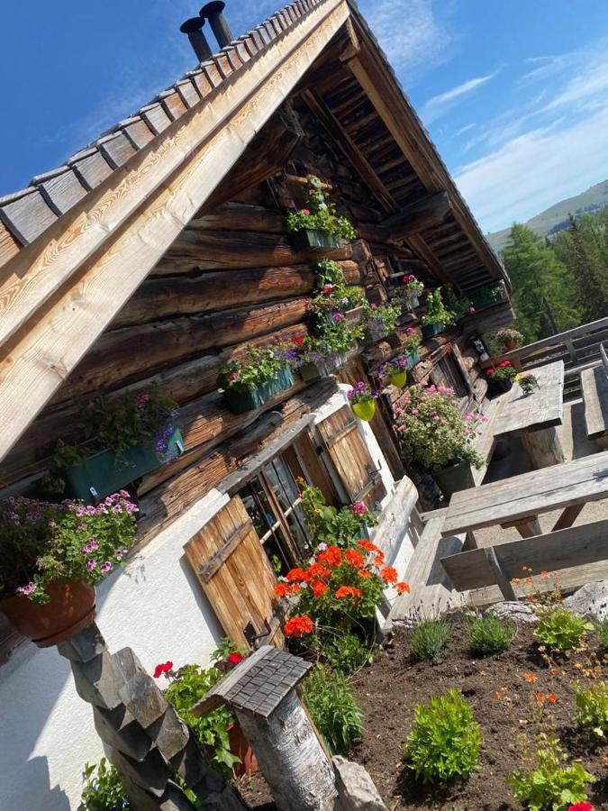 Wolfgangsee Seeblickplatzl 220 - Mit Tollem Seeblick! Strobl Exterior foto